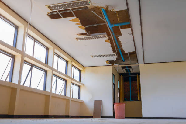 Best Commercial water damage restoration  in Neah Bay, WA