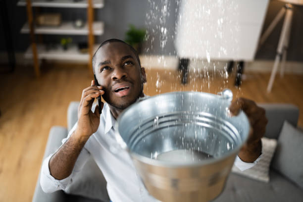 Best Professional water damage repair  in Neah Bay, WA