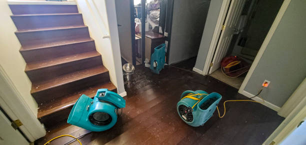 Reliable WA Water damage restoration Solutions