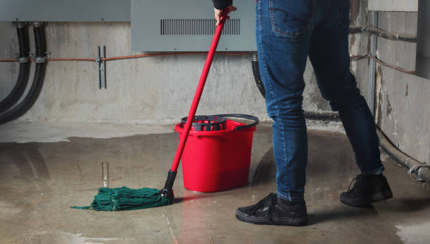 Best Mold removal after water damage  in Neah Bay, WA