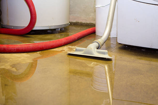 Best Residential water damage restoration  in Neah Bay, WA