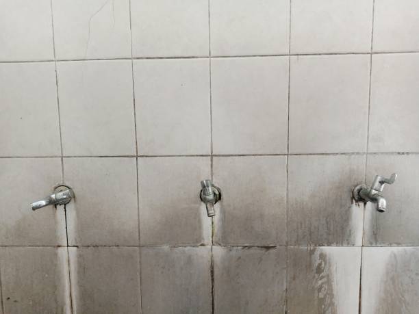 Best Water damage contractors near me  in Neah Bay, WA