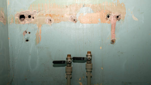  Neah Bay, WA Water damage restoration Pros