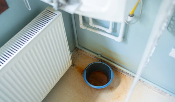 Best Water damage restoration near me  in Neah Bay, WA