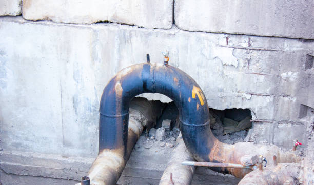 Carpet water damage restoration in WA