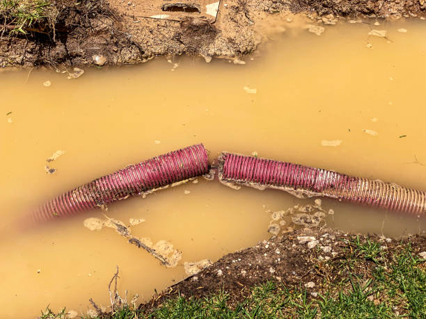 Best Local water damage restoration  in Neah Bay, WA