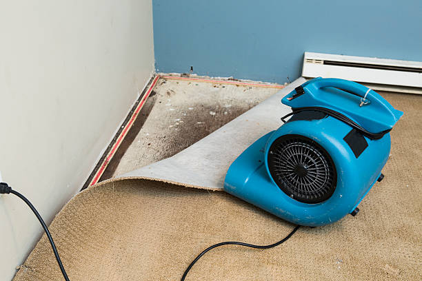 Fire Damage Restoration in WA